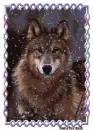 snow