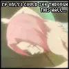 sakura peeping