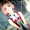 sakura