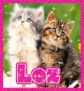 Loz Cats