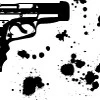 Gun