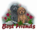 best friends