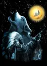 native american and wolf