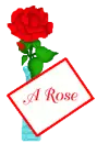 a rose for a rose