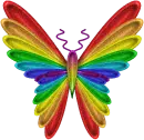 rainbow butterfly
