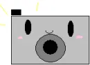 Cute Gray Camera