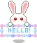 bunny hello