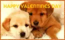 happy V Day puppies