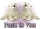 polar bears:hugs