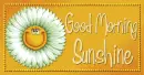 good morning sunshine
