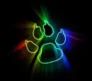 neon paw