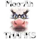 MOO-AH! cow kisses
