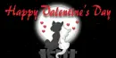 cats on a fence & in love