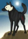 HTS Wolf