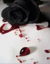 bloody black rose