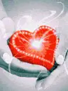 HEART IN THE HANDS