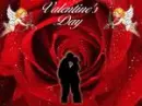 HAPPY VAENTINE'S DAY 2010