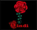 Cindi