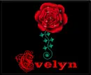 Evelyn