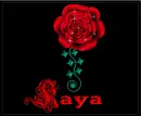 Jaya