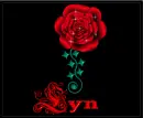 Lyn