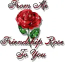 Red rose