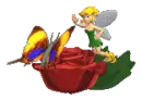 fairy, butterfly and rose