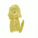 hairy dog