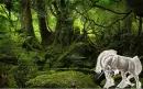 forest of the unicorn