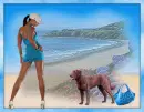 spring beach