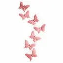Pink Butterflies - Yaris