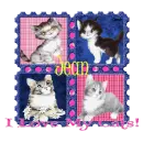 I Love My Cats - Jean