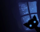 stalker kitten