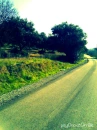 Road Trip with nature feelings by Psychozombie