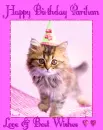 Parihan Birthday kitten