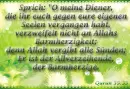 German Quran