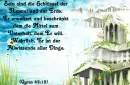 German Quran