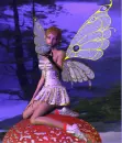 Faerie Oracle 2