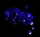 BLUE ROSE