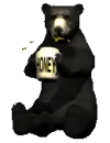 bear eating honey