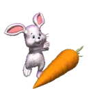 bunny in love with carrot