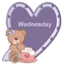 wednesday bear