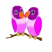 love birds