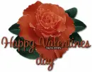 Happy Valentines day