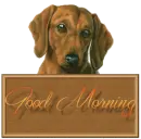 doggie says good morning