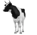 Farm01