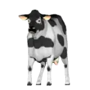 Farm50