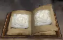 Rose Book