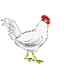 c03