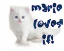FOR: Marie, white cat, "marie loves it"